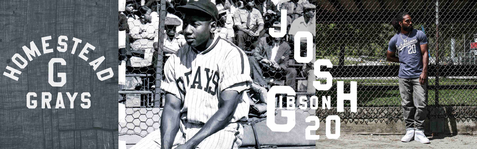 5 Good Reasons You Should Learn More About Josh Gibson - Because of Them We  Can