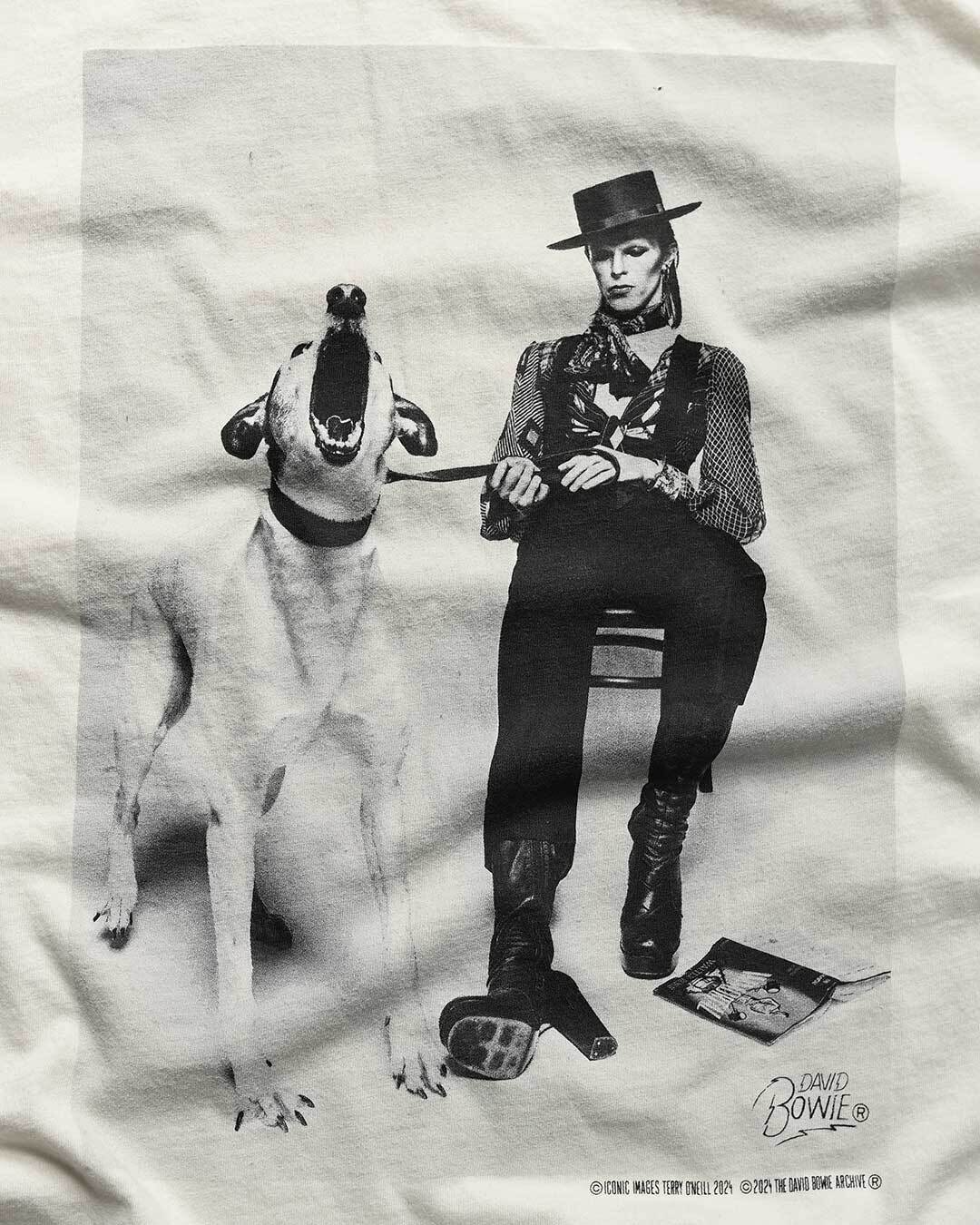 David Bowie Diamond Dogs Photo White Tee - Roots of Fight